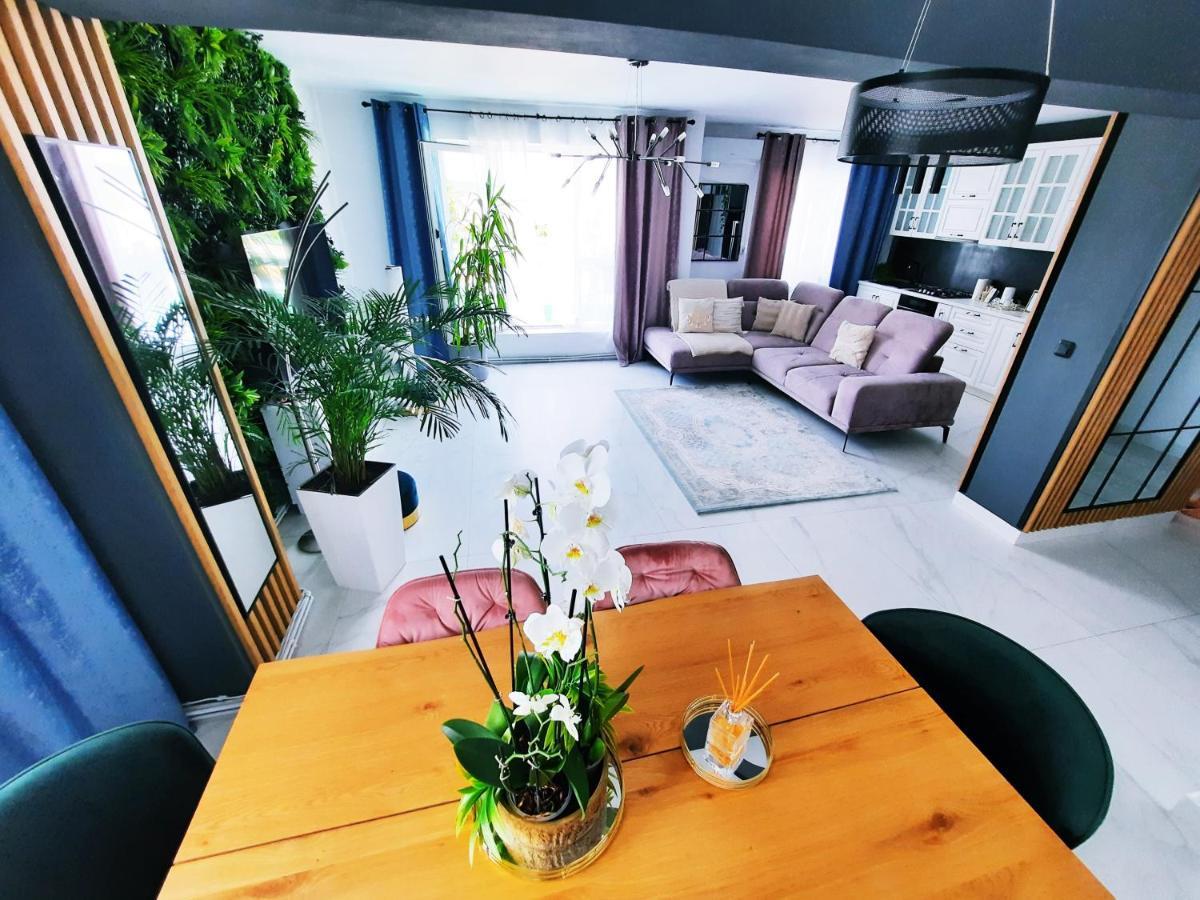 Penthouse Aeroport Iasi公寓 外观 照片