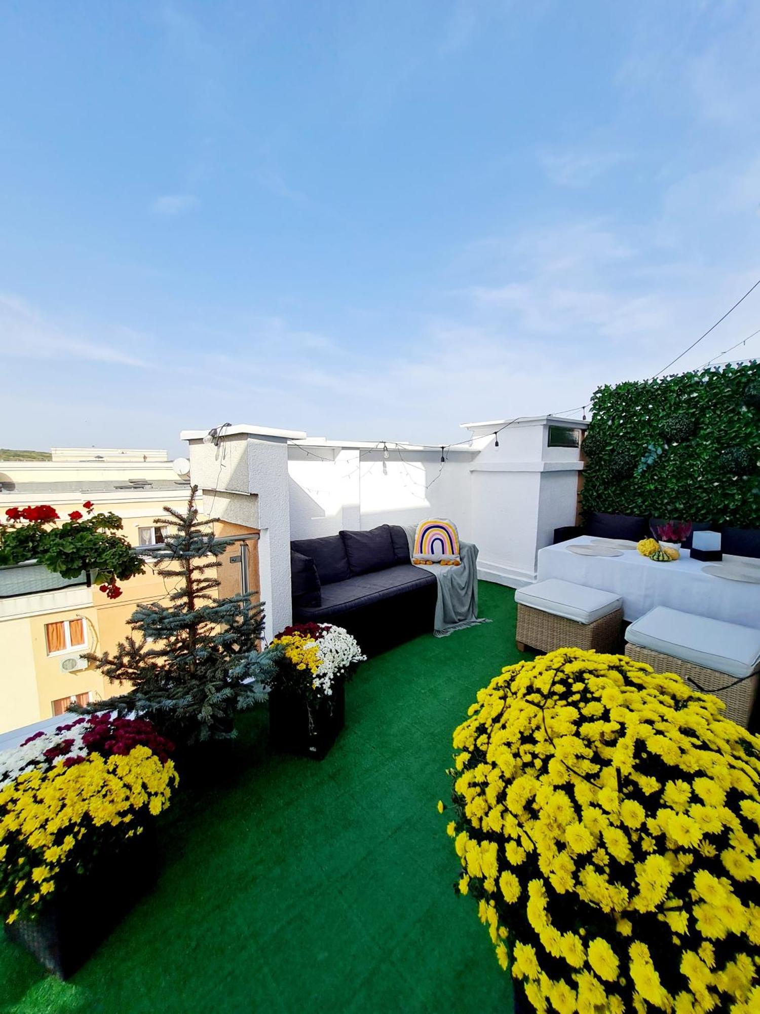 Penthouse Aeroport Iasi公寓 外观 照片