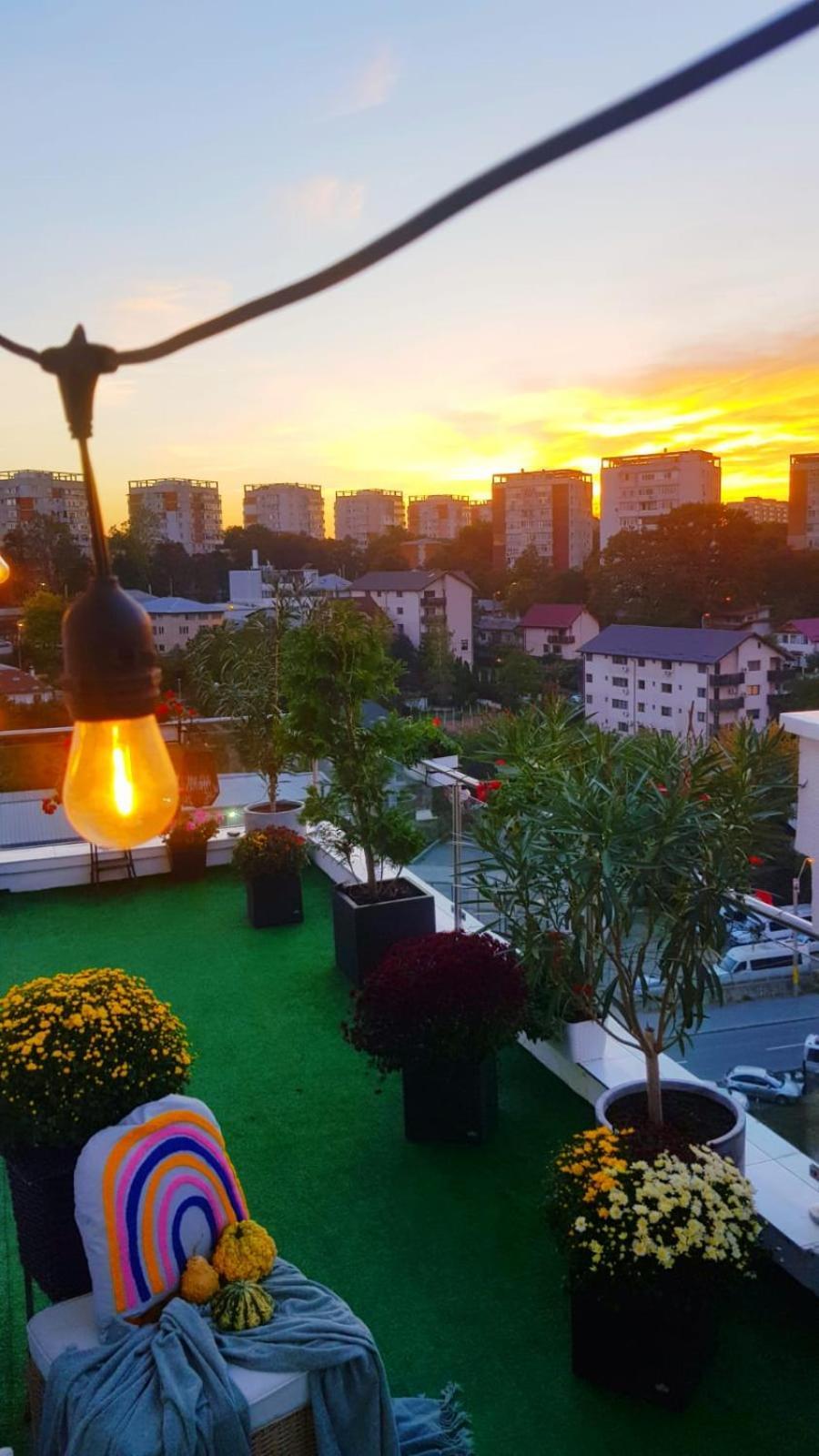 Penthouse Aeroport Iasi公寓 外观 照片