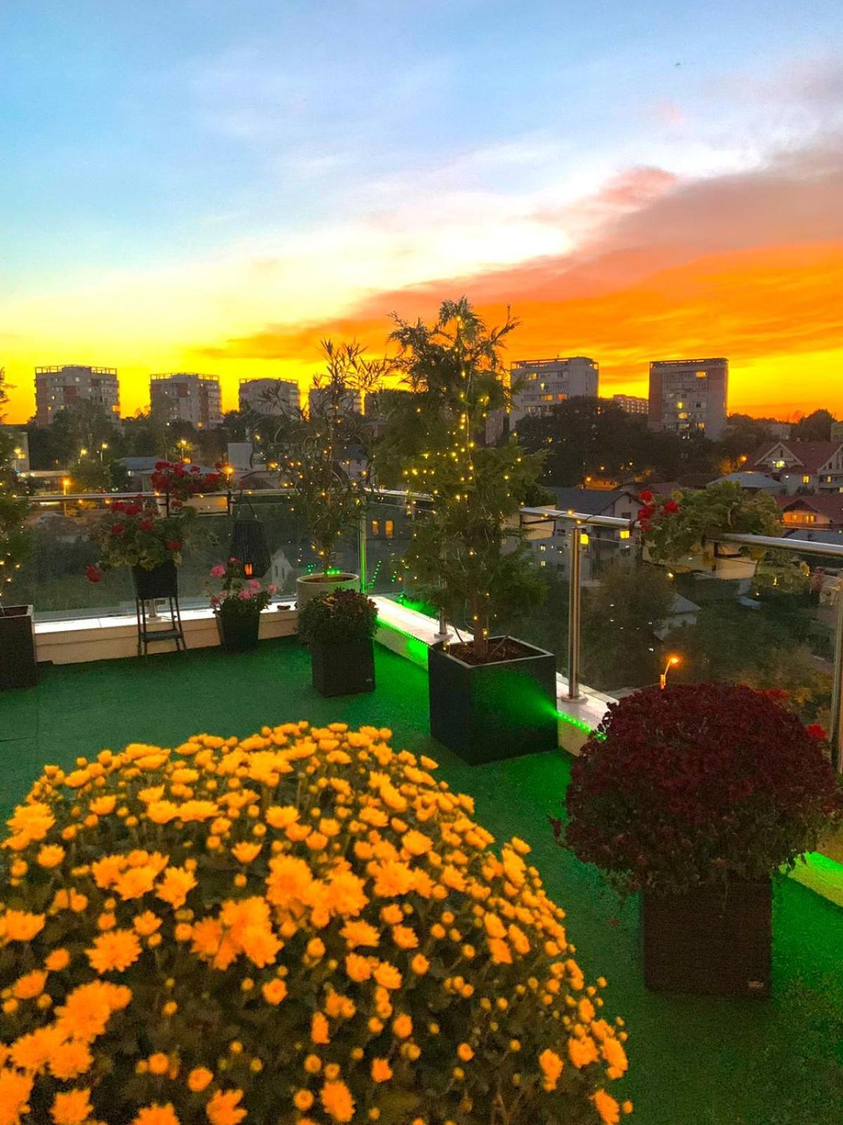 Penthouse Aeroport Iasi公寓 外观 照片